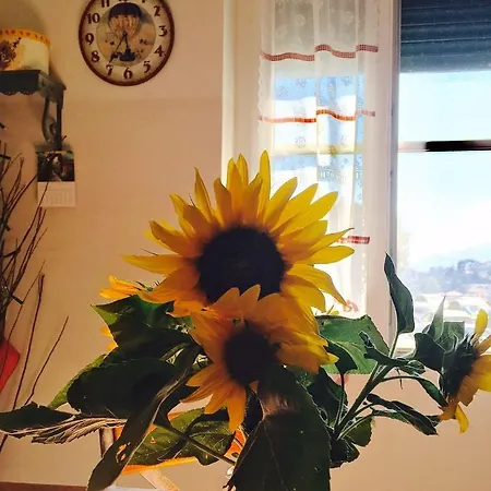 Il Filo Di Arianna